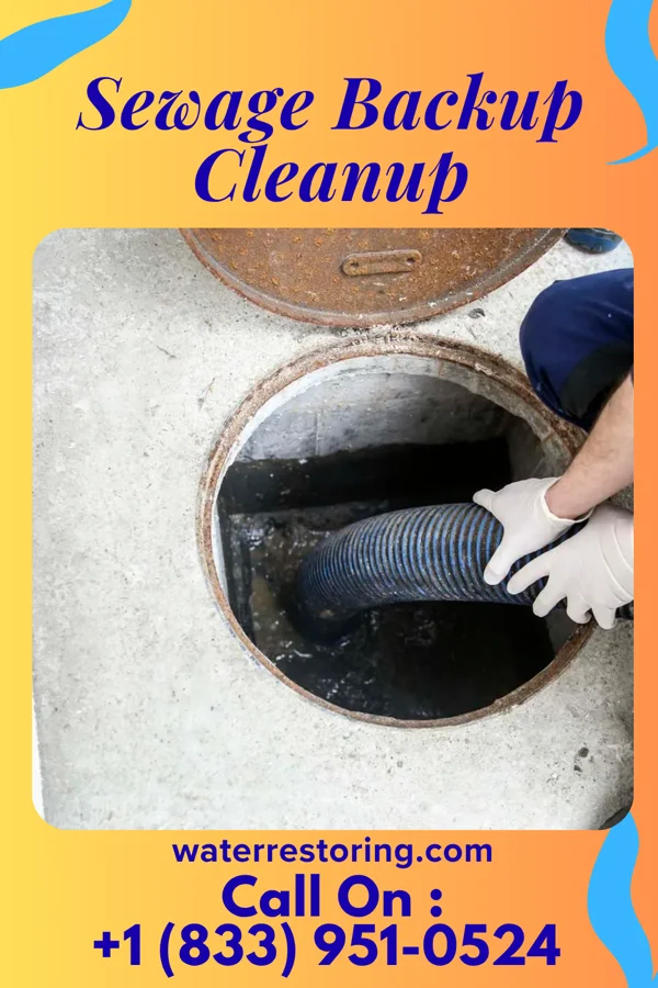 Sewage Backup Cleanup in Arcade, GA